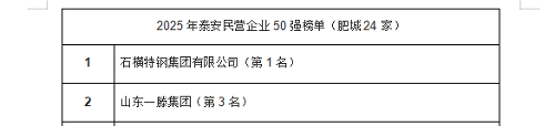 熱烈祝賀一滕集團躍居2025年泰安市民營企業50強榜單第3名