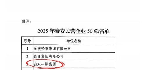 一滕集團榮登2025年泰安民營企業50強榜單第3名